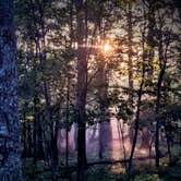 Review photo of Lewis Mountain Campground — Shenandoah National Park by Adelle C., June 18, 2018