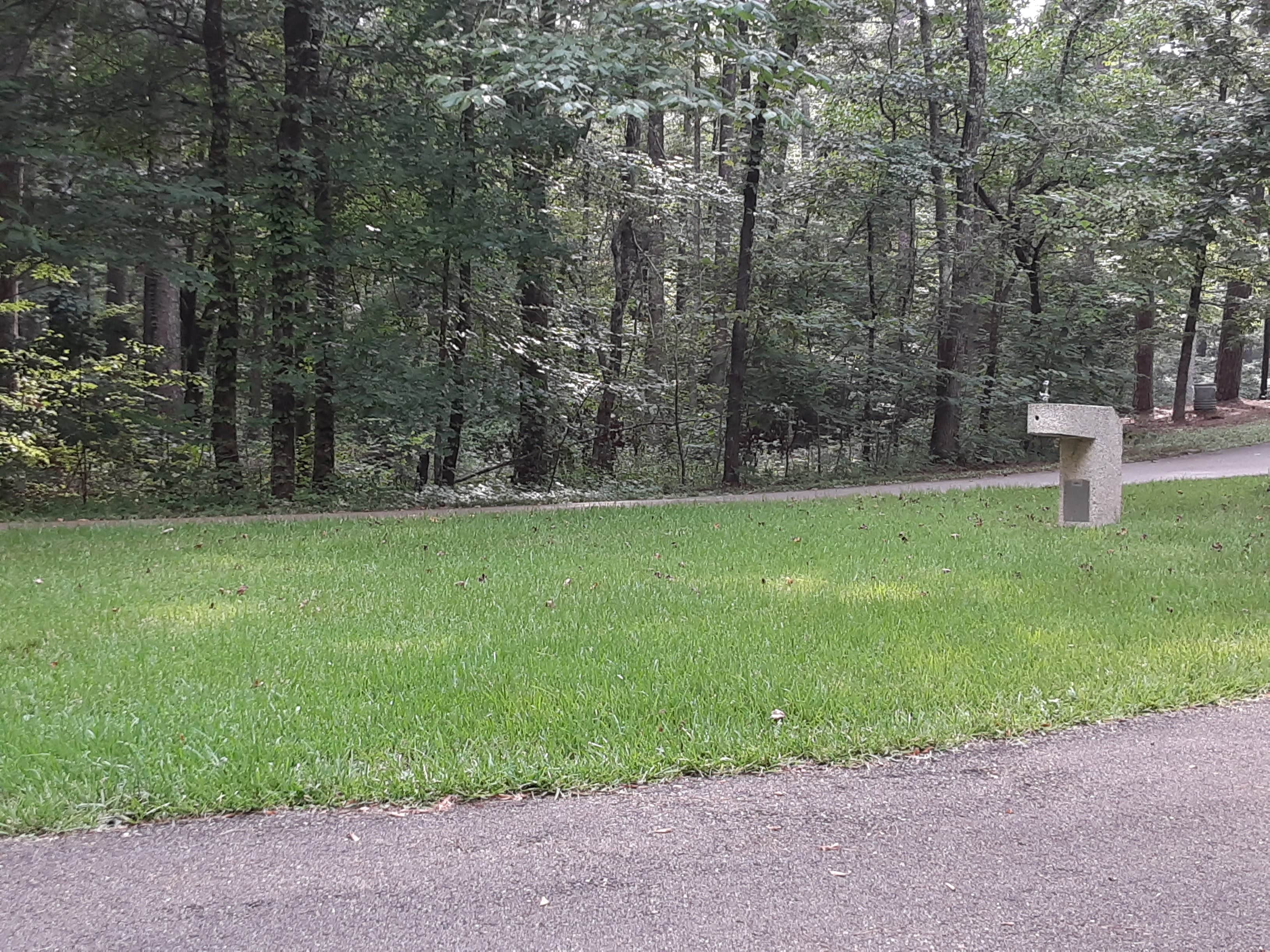 Camper submitted image from Jeff Busby Campground, Milepost 193.1 — Natchez Trace Parkway - 2