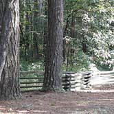 Review photo of Jeff Busby Campground, Milepost 193.1 — Natchez Trace Parkway by Jamie P., August 7, 2021