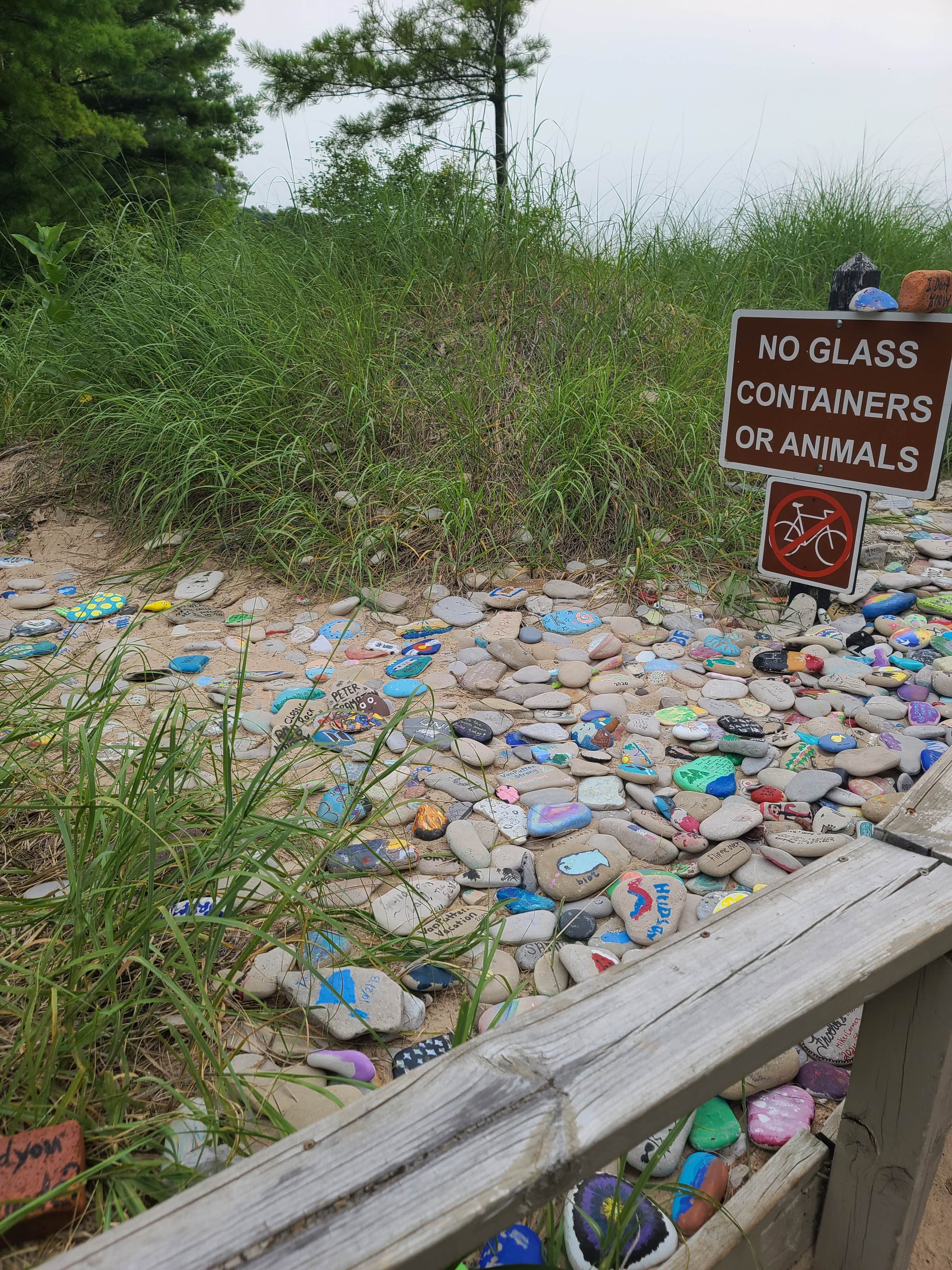 Camper submitted image from Petoskey State Park Campground - 5