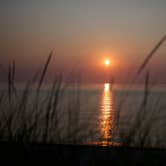 Review photo of Warren Dunes State Park Campground by John K., August 7, 2021