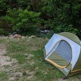 Review photo of Gooney Creek Campground by Adelle C., June 18, 2018