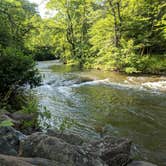 Review photo of Gooney Creek Campground by Adelle C., June 18, 2018