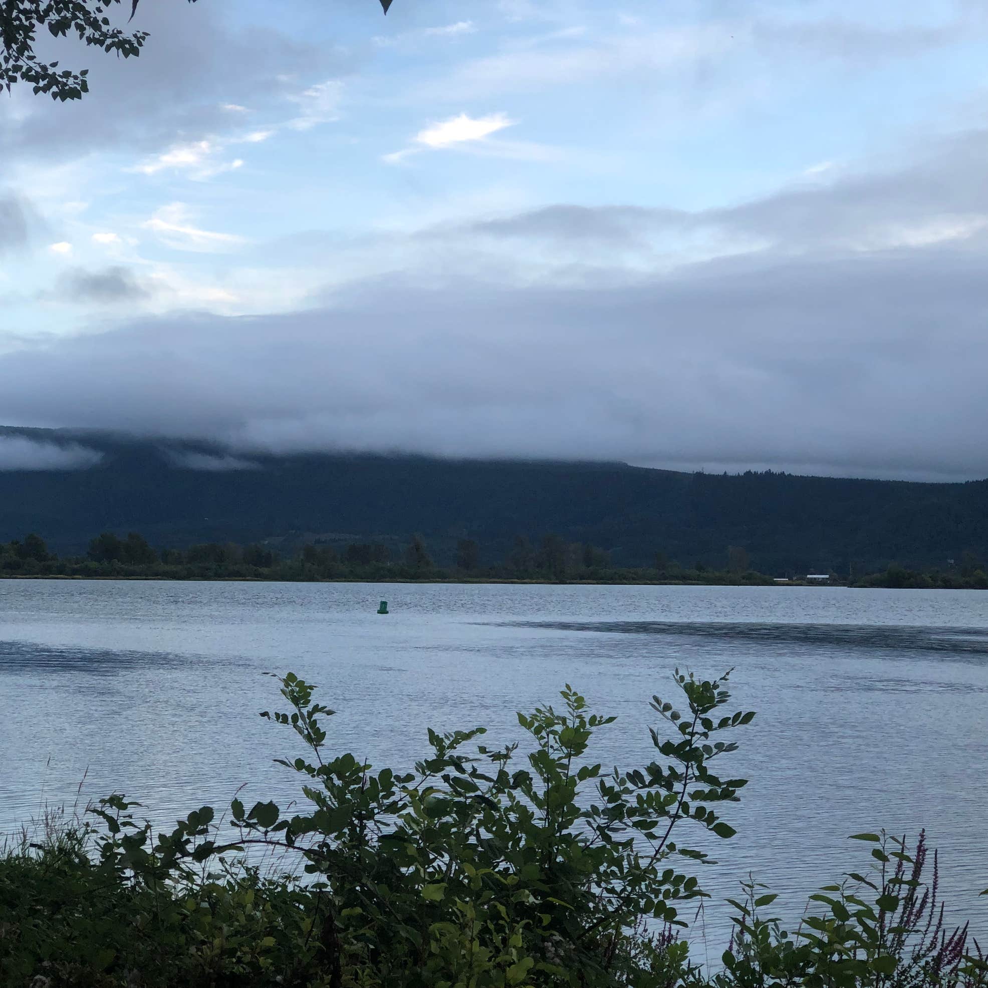 Elochoman Marina Camping Cathlamet, WA The Dyrt