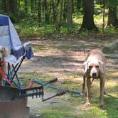 Review photo of Geneva State Park Campground by John K., August 7, 2021