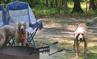 John K.'s photo of camping with pets at Geneva State Park Campground near Geneva-on-the-Lake, OH