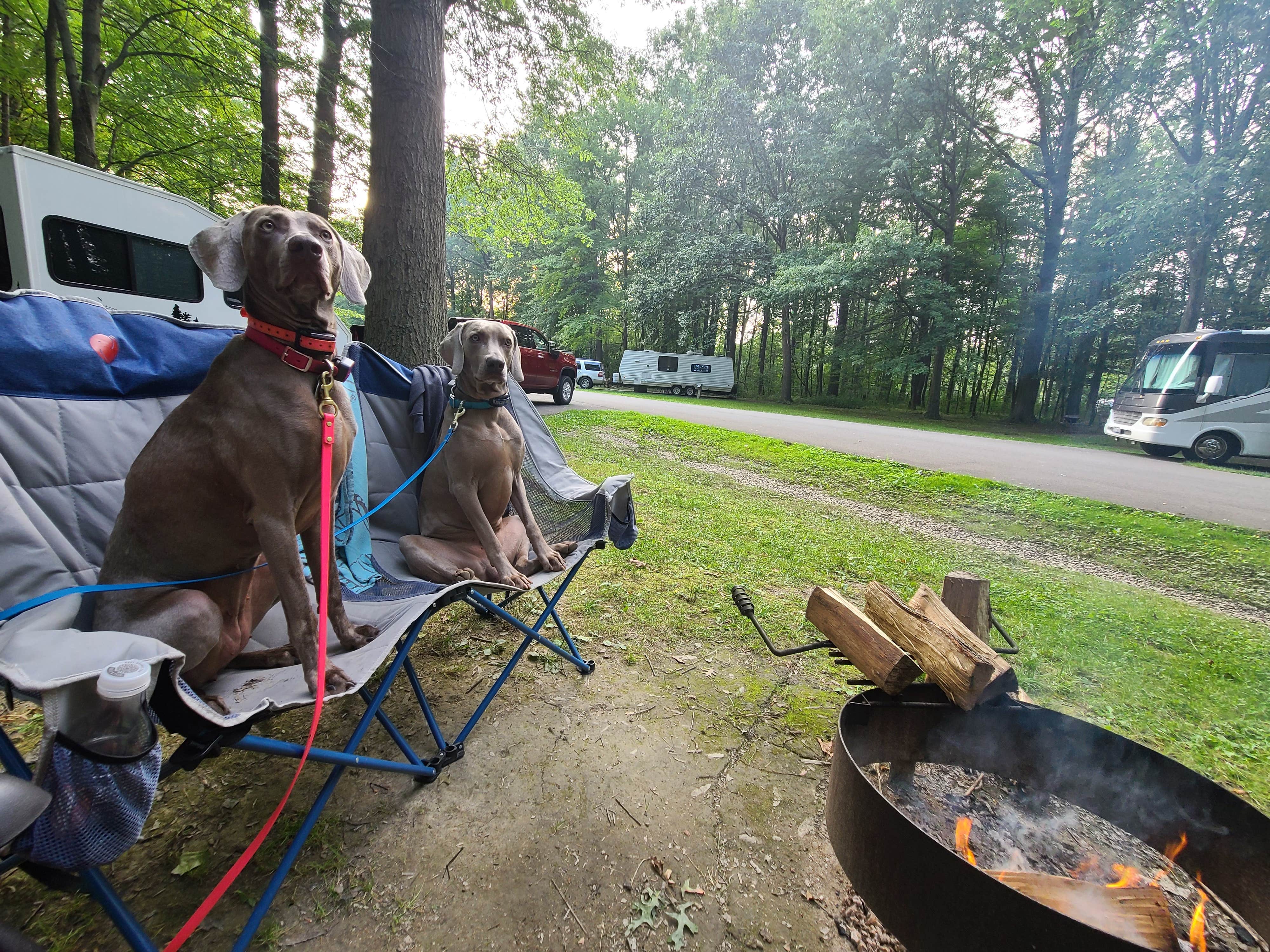 John K.'s photo of camping with pets at Geneva State Park Campground near Madison, OH