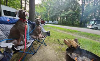 John K.'s photo of camping with pets at Geneva State Park Campground near Geneva-on-the-Lake, OH