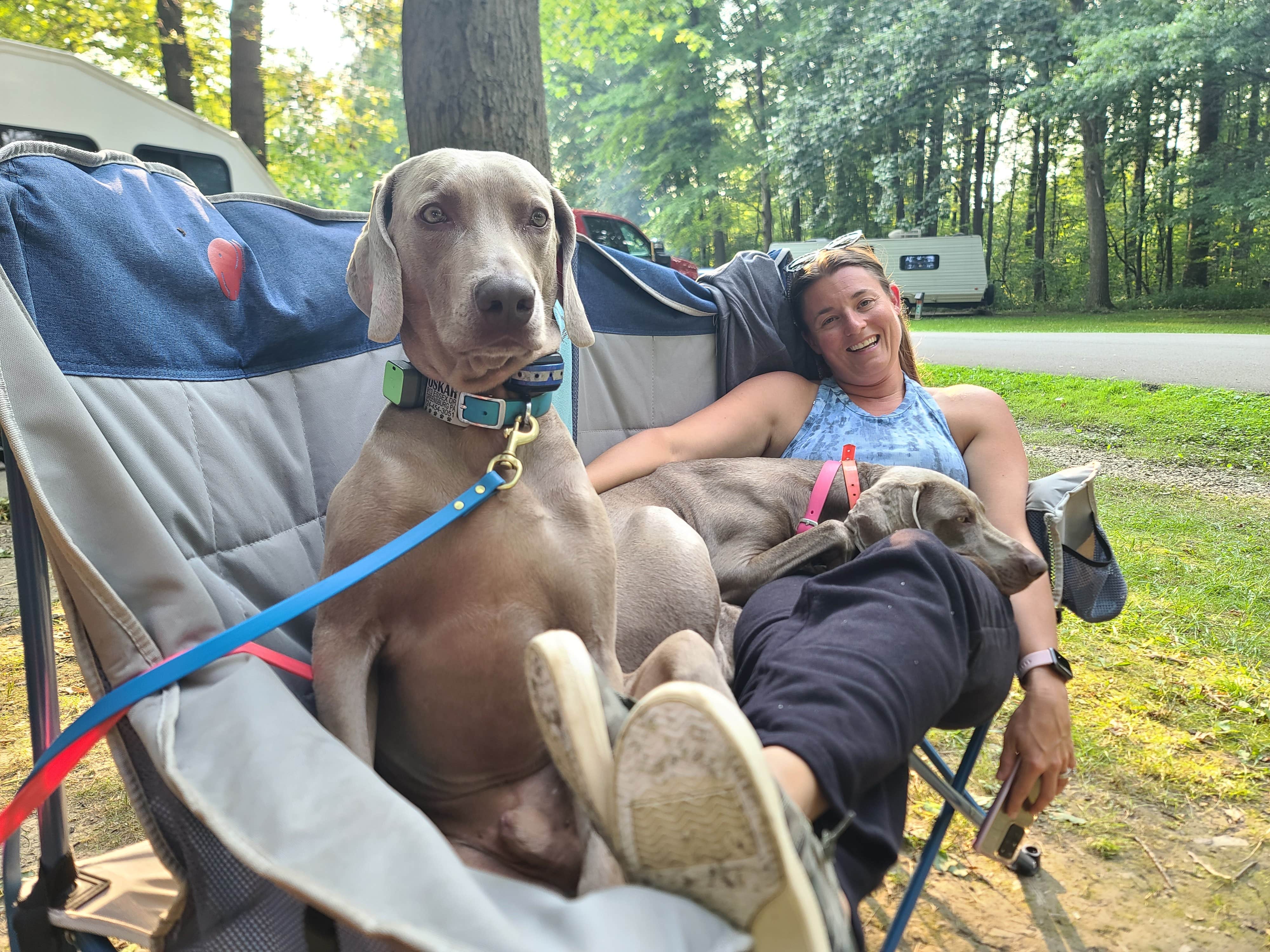 John K.'s photo of camping with pets at Geneva State Park Campground near Lake City, PA