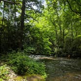 Review photo of Deep Creek Campground — Great Smoky Mountains National Park by Adelle C., June 18, 2018