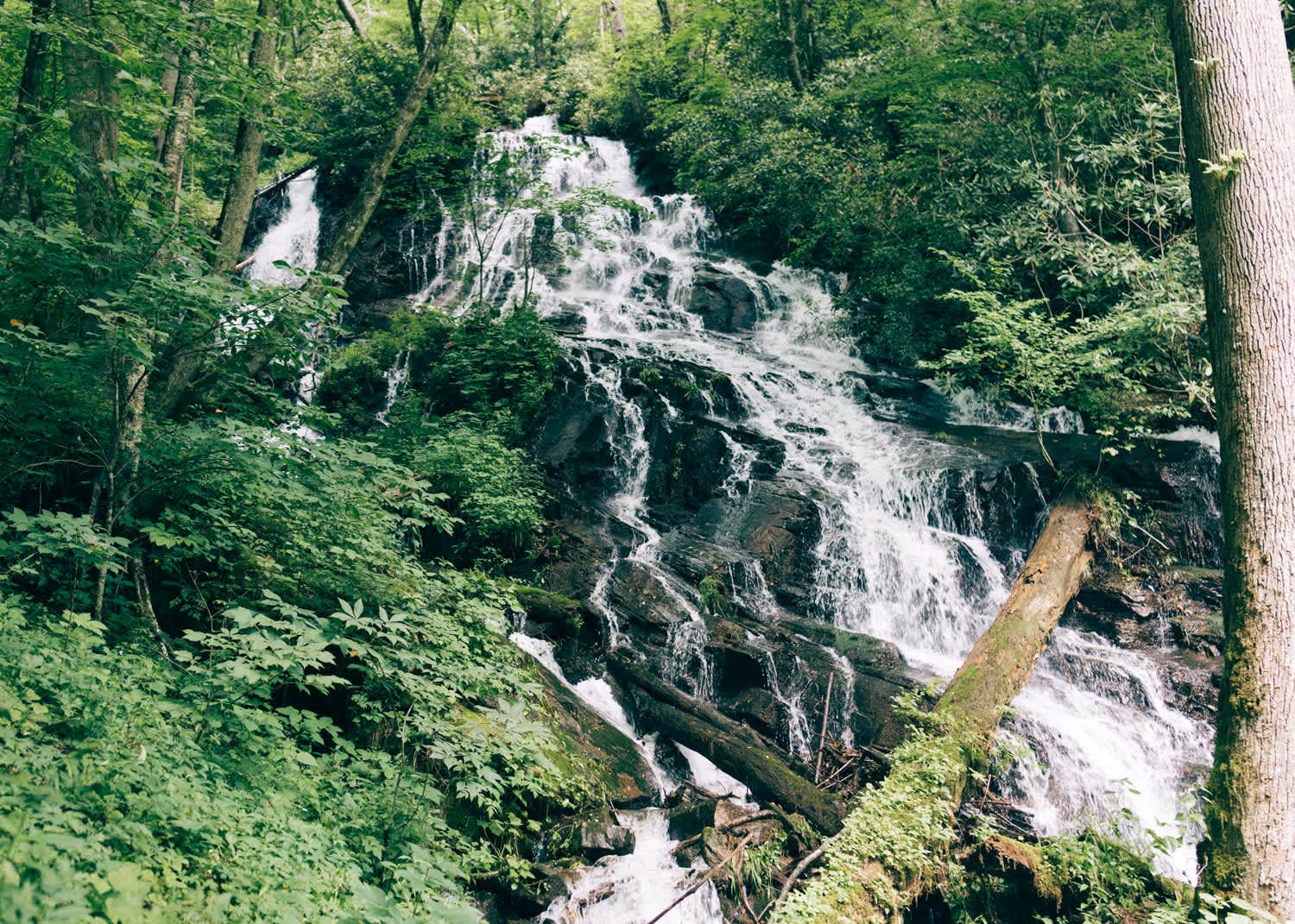 Camping near Stonebridge RV Resort: Indigo Eagle Sanctuary, Balsam, North Carolina