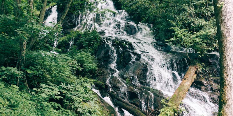 Camper submitted image from Indigo Eagle Sanctuary