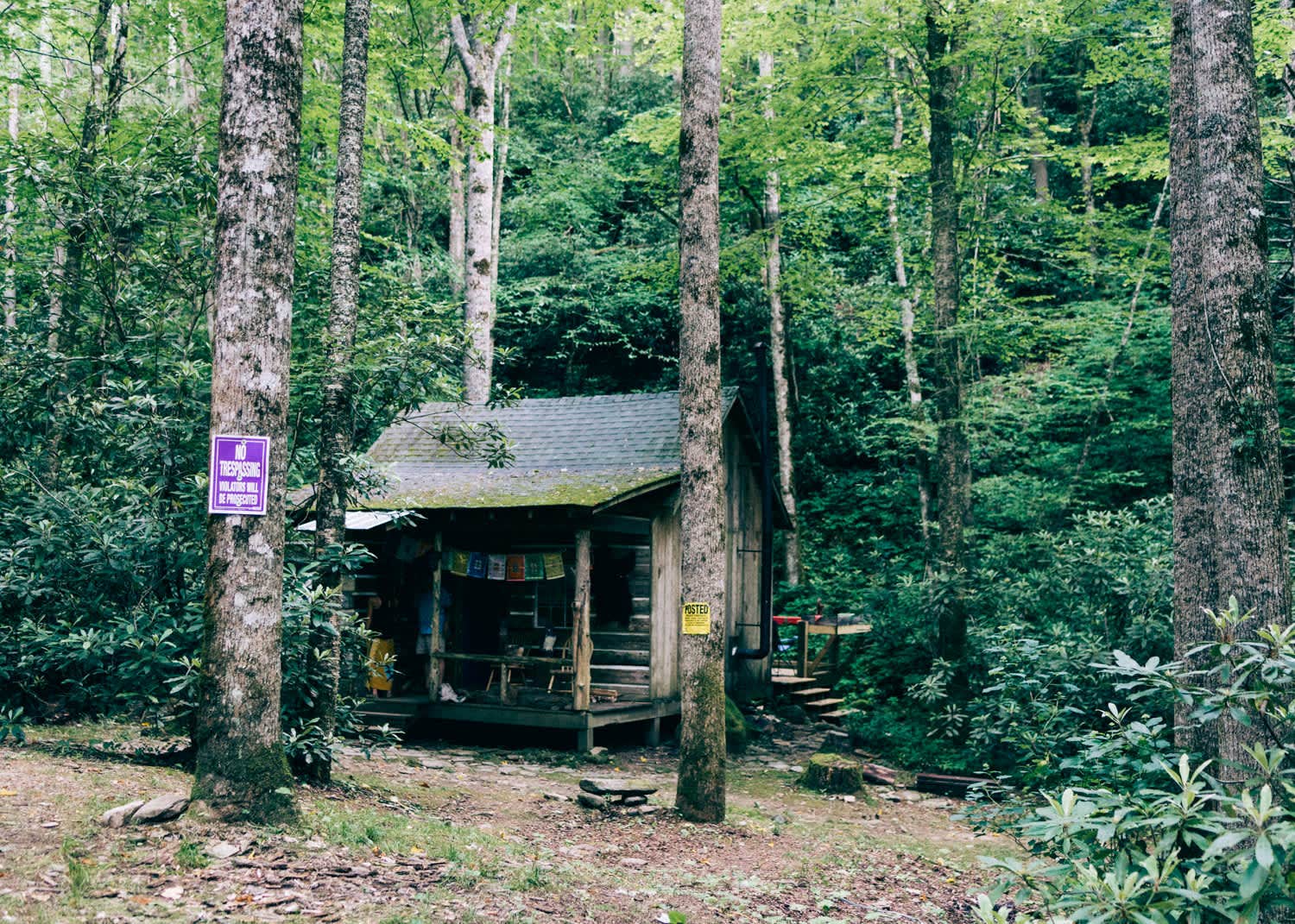 David's photo of glamping accommodations at Indigo Eagle Sanctuary near Bryson City, NC