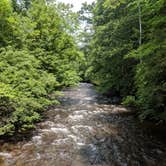 Review photo of Deep Creek Campground — Great Smoky Mountains National Park by Adelle C., June 18, 2018