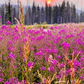 Review photo of Jumping Creek Campground by jordan T., August 7, 2021