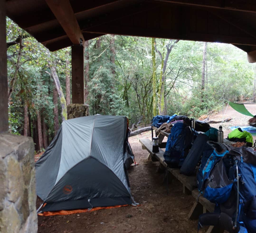 Camper submitted image from Alice Eastwood Group Camp — Mount Tamalpais State Park - 3