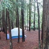 Review photo of Alice Eastwood Group Camp — Mount Tamalpais State Park by Nathaniel S., August 7, 2021
