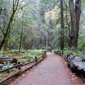 Review photo of Alice Eastwood Group Camp — Mount Tamalpais State Park by Nathaniel S., August 7, 2021