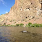 Review photo of Salmon River Campground by Nick P., July 18, 2016