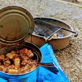 Review photo of Douglas Dam Headwater Campground — Tennessee Valley Authority (TVA) by Adelle C., June 18, 2018