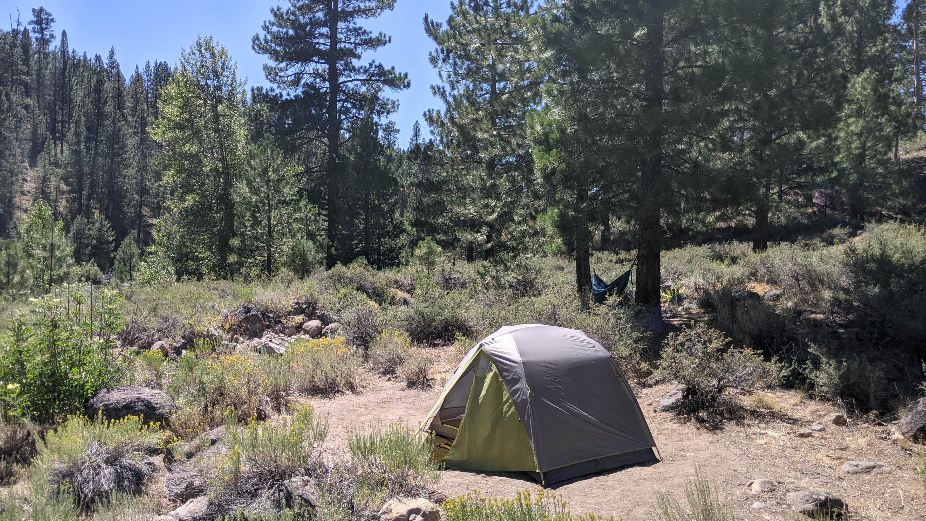 Quinn Z.'s photo at Boyington Mill near Virginia City, NV