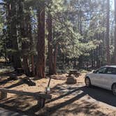 Review photo of Logger Campground by Quinn Z., August 8, 2021