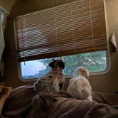 Review photo of Follow The River RV Resort by Rodney L., August 8, 2021