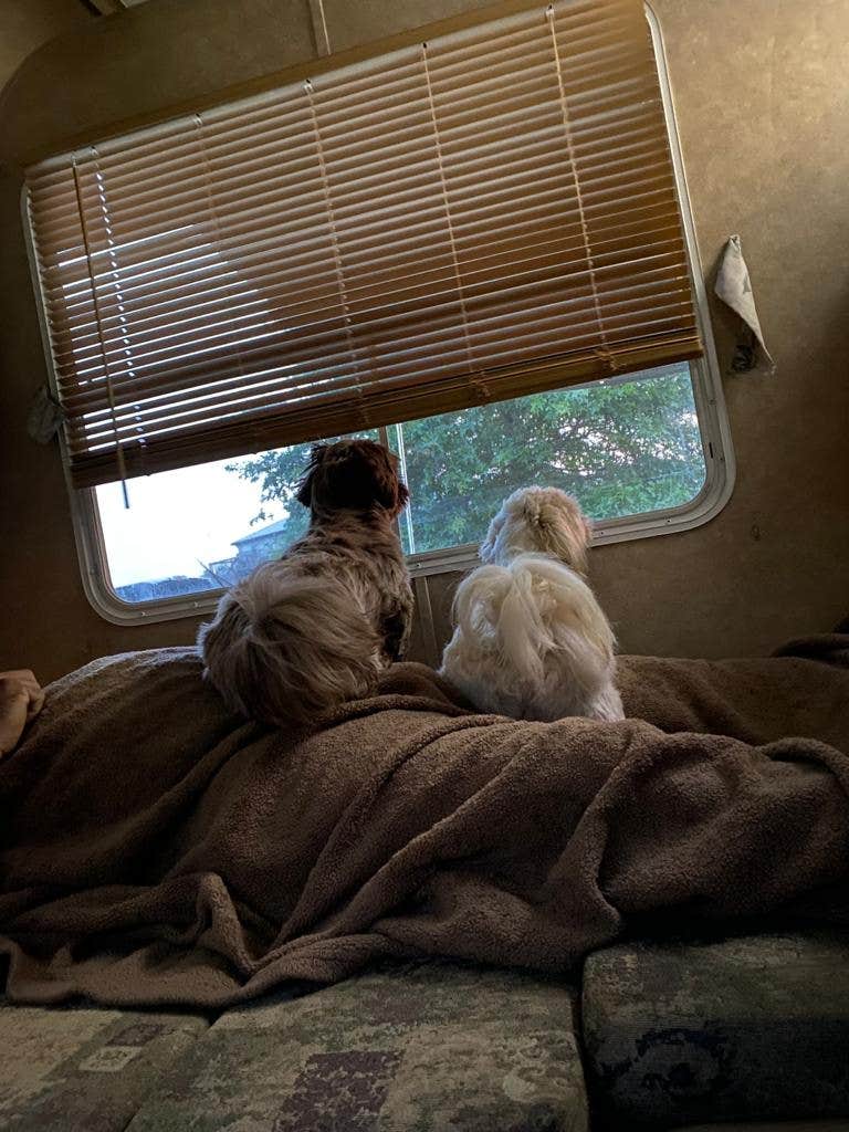 Rodney L.'s photo of glamping accommodations at Follow The River RV Resort near Blue Ash, OH