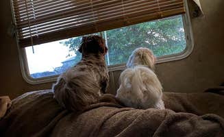 Rodney L.'s photo of glamping accommodations at Follow The River RV Resort near Harrison, OH