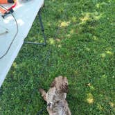 Review photo of Follow The River RV Resort by Rodney L., August 8, 2021