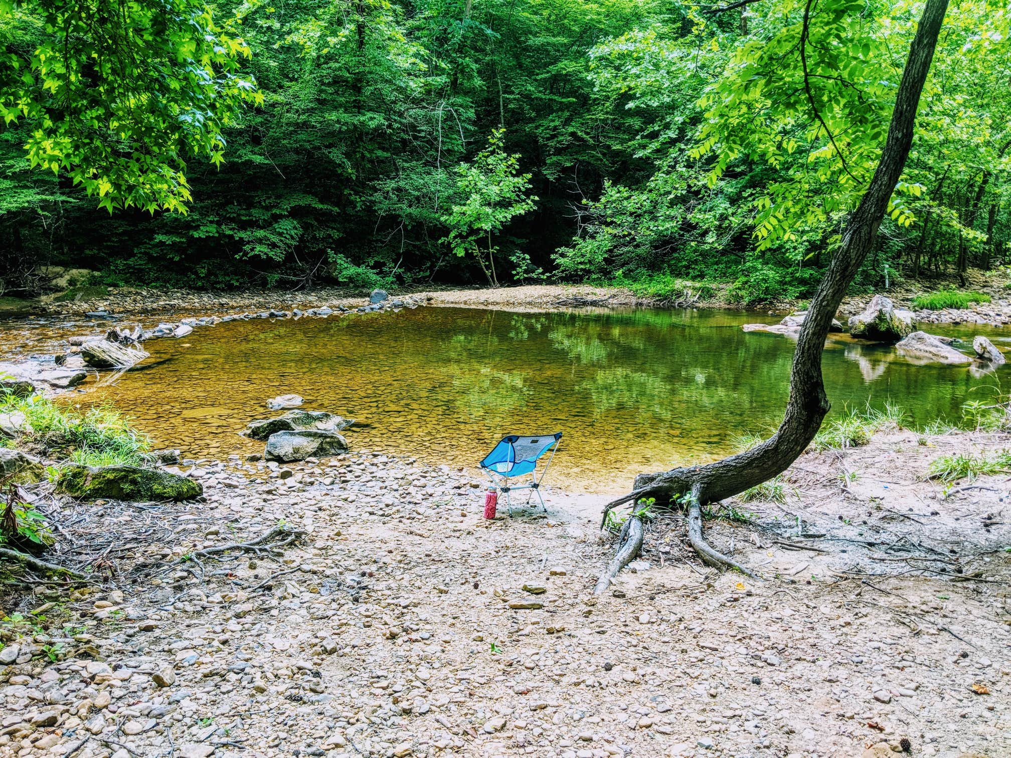 Camper submitted image from Great Meadows Campground - 3