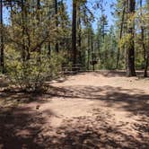 Review photo of Ponderosa Campground (AZ) Tonto National Forest by Shari  G., August 8, 2021