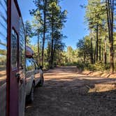 Review photo of Ponderosa Campground (AZ) Tonto National Forest by Shari  G., August 8, 2021