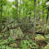 Review photo of McGee Creek State Park Campground by Jordan N., August 8, 2021