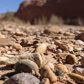 Review photo of White House Campground by Shari  G., August 8, 2021