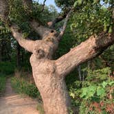 Review photo of Turkey Ridge — Ponca State Park by Shari M., August 8, 2021