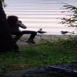 Rollins Pond Adirondack Preserve