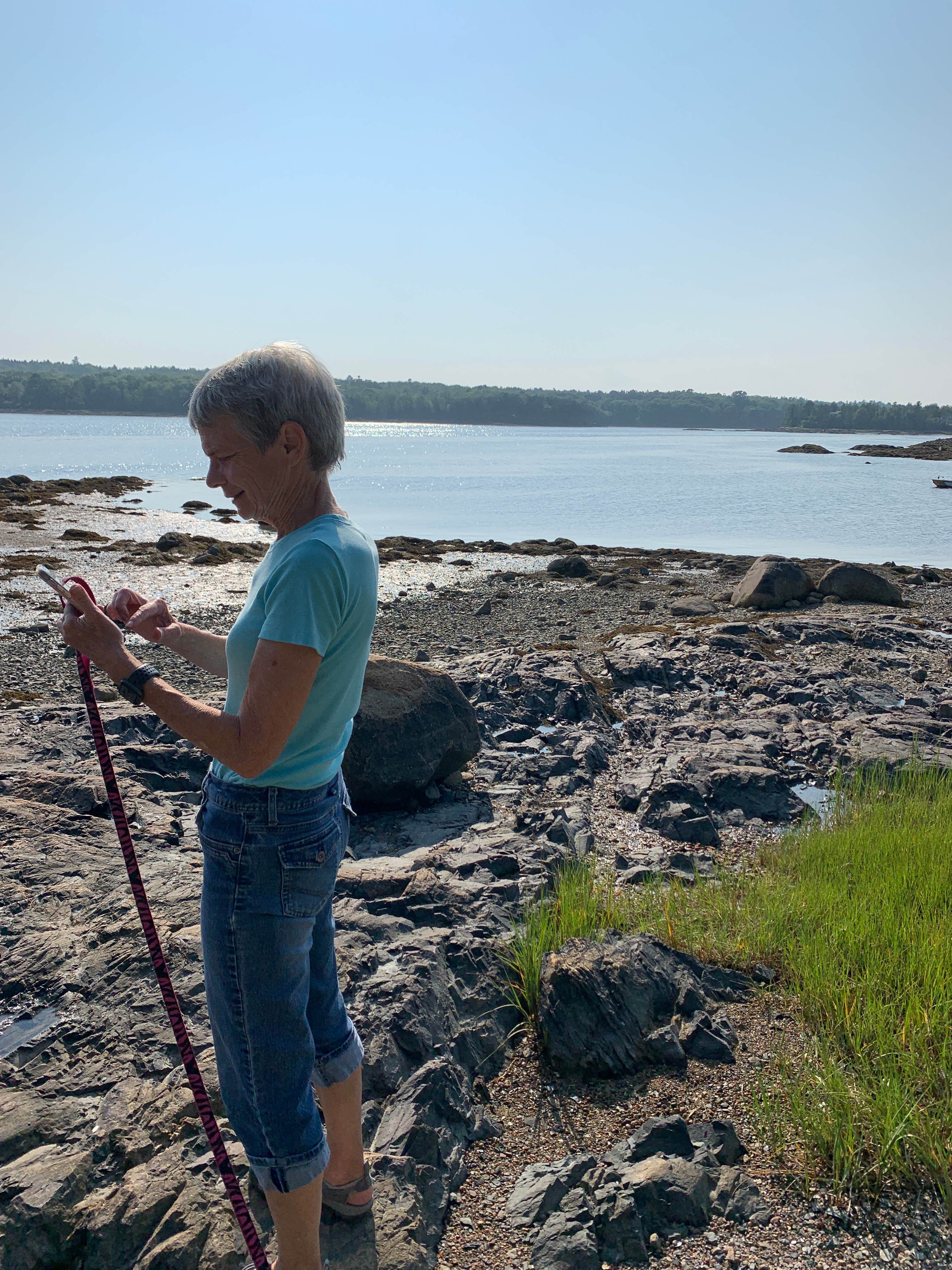 Camper submitted image from Acadia Seashore Camping and Cabins - 1