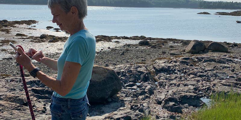 Camper submitted image from Acadia Seashore Camping and Cabins