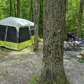 Review photo of Black Moshannon State Park Campground by Lesley J., August 8, 2021