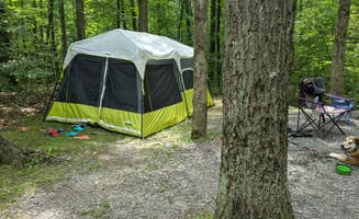 Lesley J.'s photo at Black Moshannon State Park Campground near Flinton, PA
