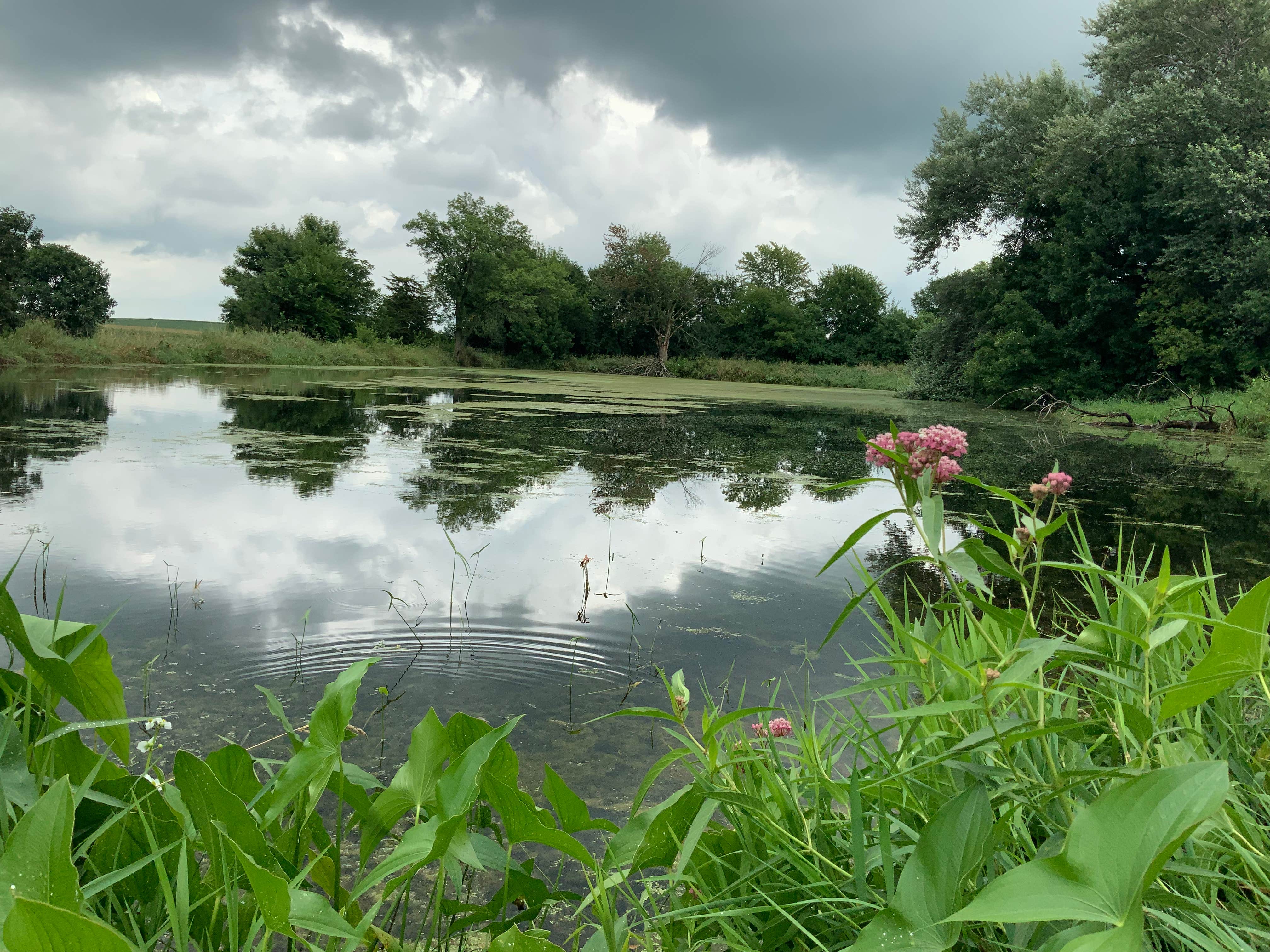 Camper-submitted photo at Stoehr Fishing Area near Gladbrook, IA