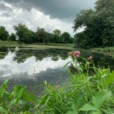 Review photo of Stoehr Fishing Area by Kerry M., August 8, 2021