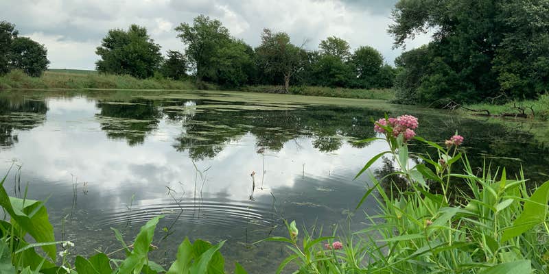 Camper submitted image from Stoehr Fishing Area