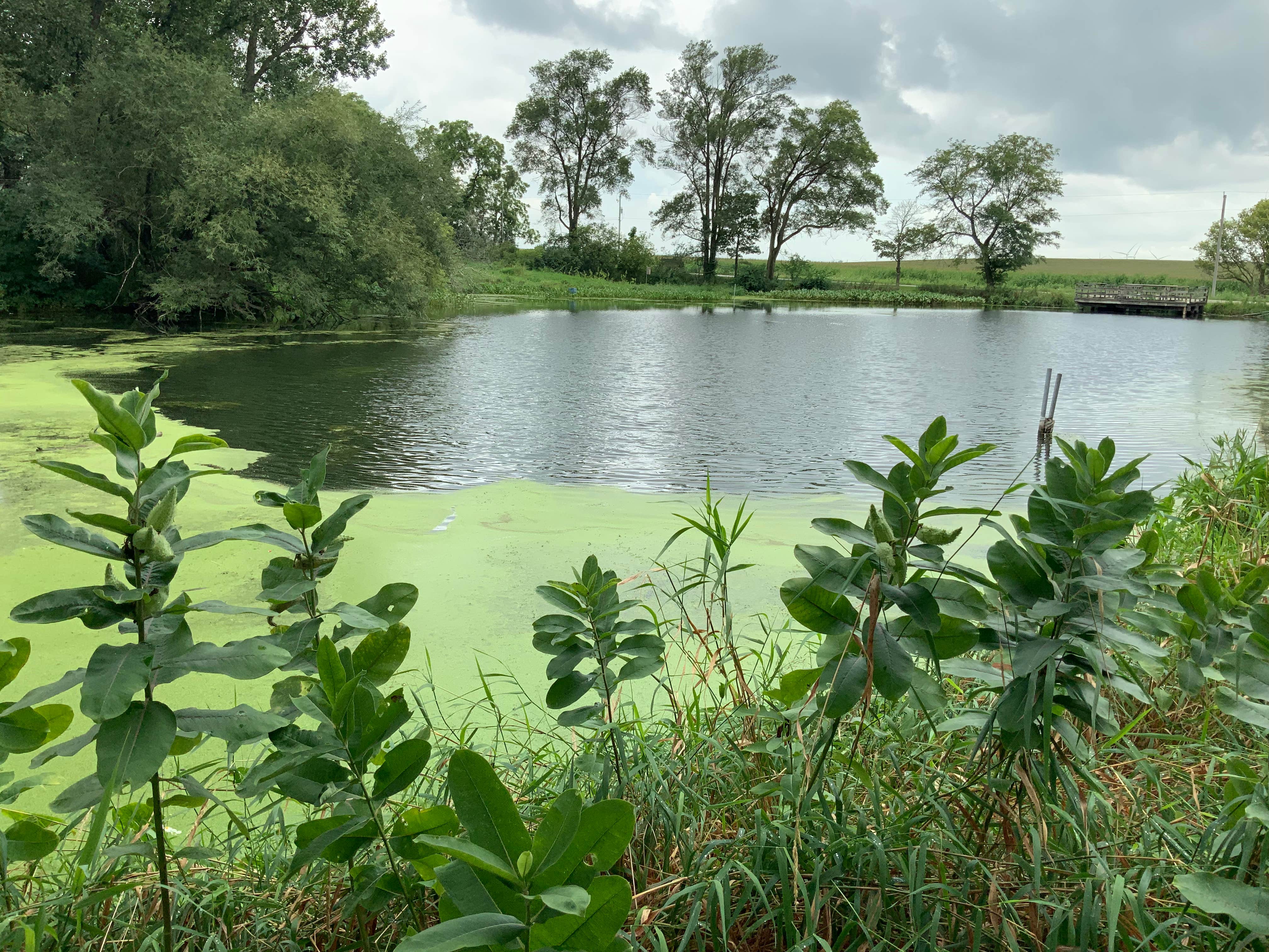 Camper-submitted photo at Stoehr Fishing Area near Gladbrook, IA