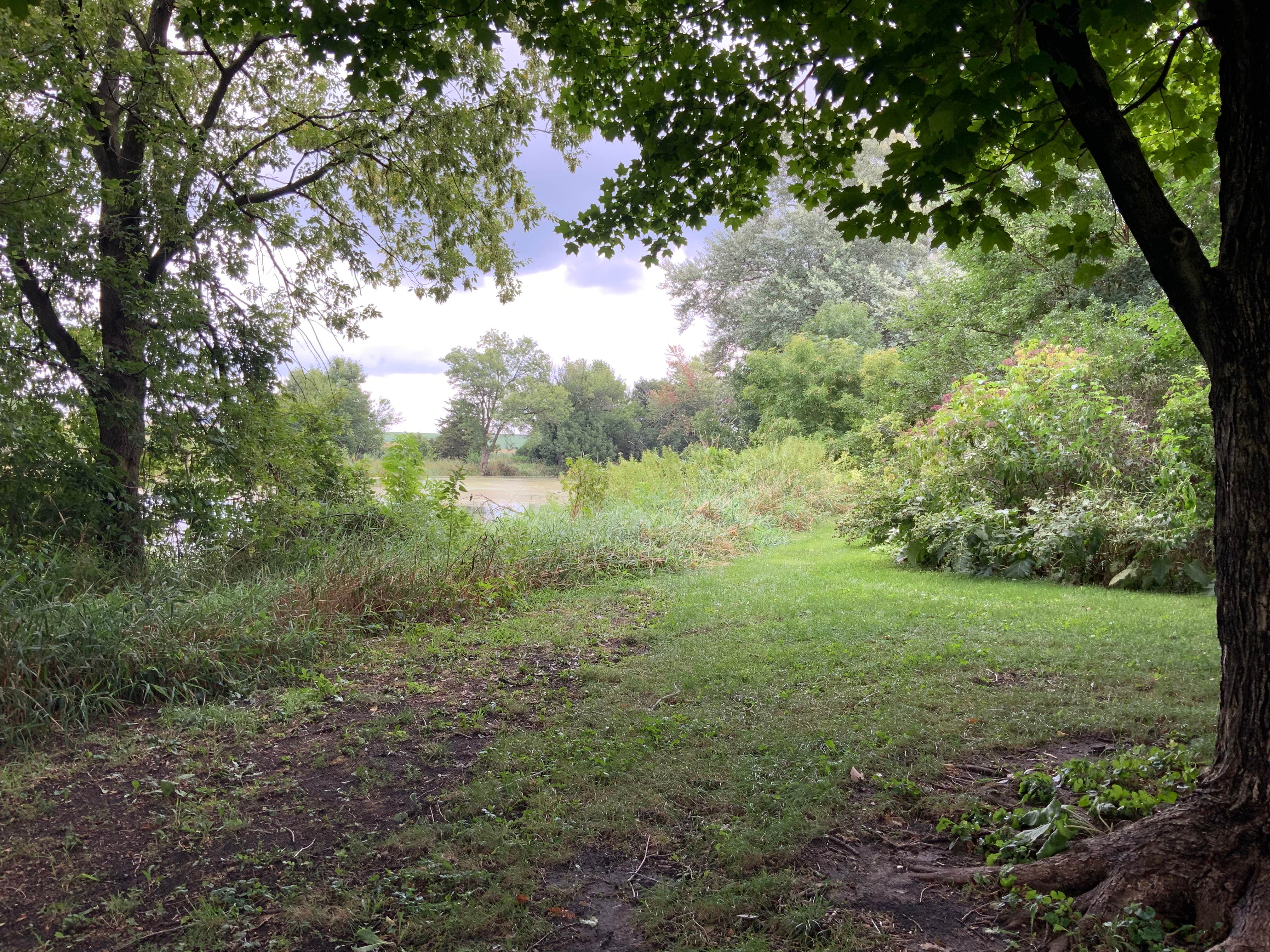 Camper-submitted photo at Stoehr Fishing Area near Gladbrook, IA