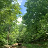 Review photo of Redbud Campground at Bell Smith Springs by Tiffany S., August 8, 2021