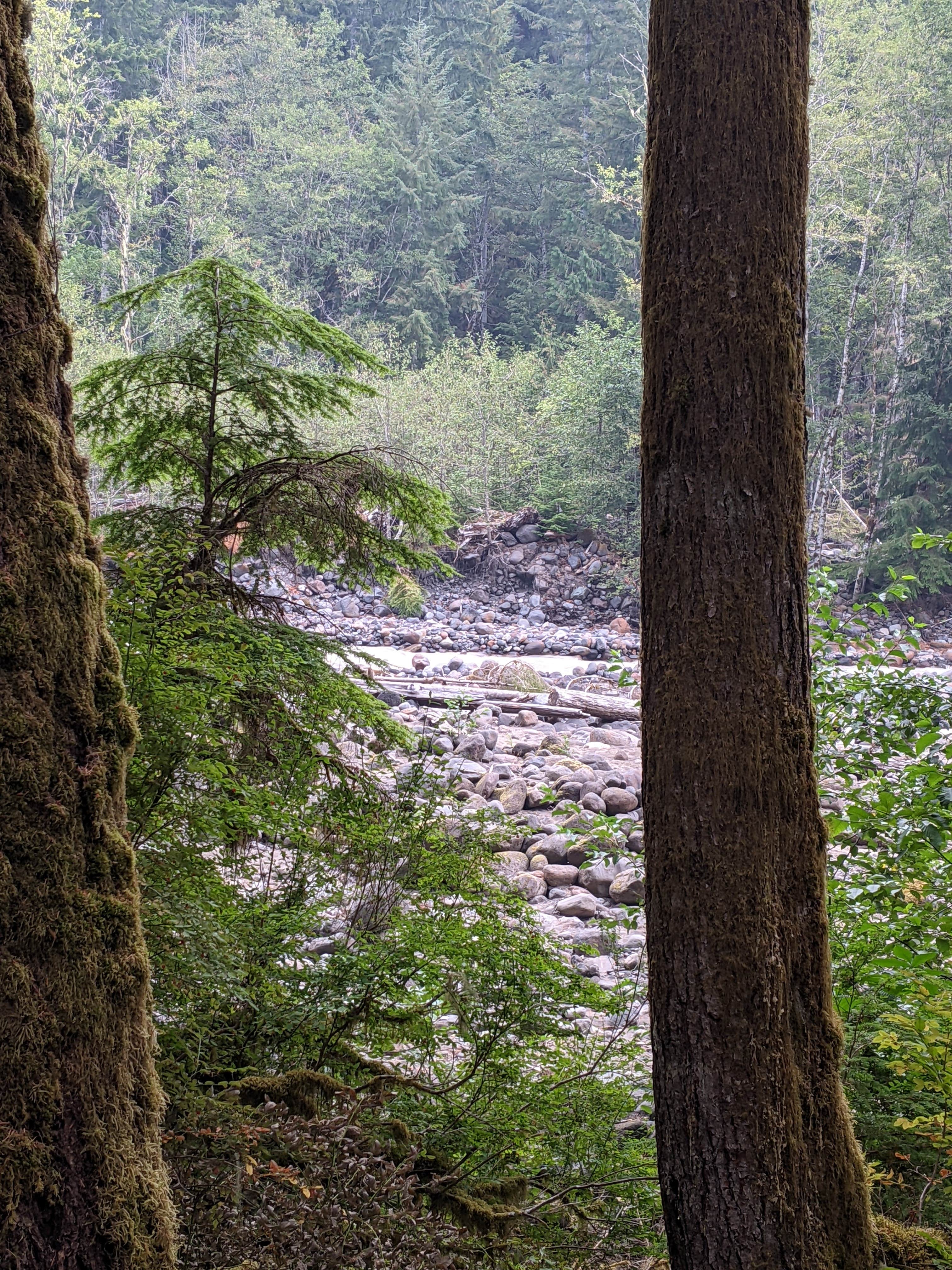 Camping near Campbell Lake - WDFW: Boulder Creek, Winthrop, Washington