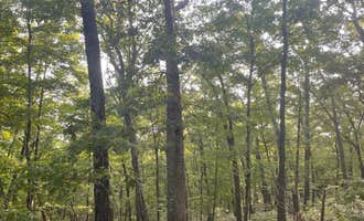 Camping near Theodosia Park: Hercules Glades (Watch Tower), Bradleyville, Missouri