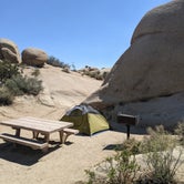 Review photo of Jumbo Rocks Campground — Joshua Tree National Park by Alison L., August 8, 2021